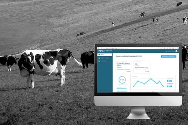 A laptop displaying a data system is in the foreground, with cattle grazing in the background, symbolizing the integration of technology in meat processing.